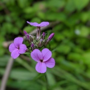 Meet your Posher, Barbie